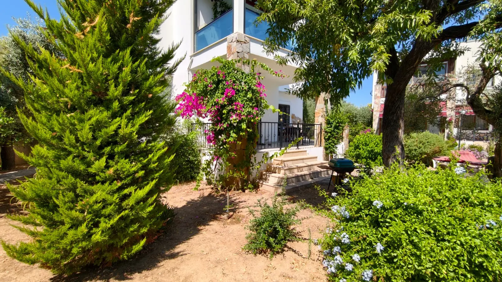 Property in Yalikavak